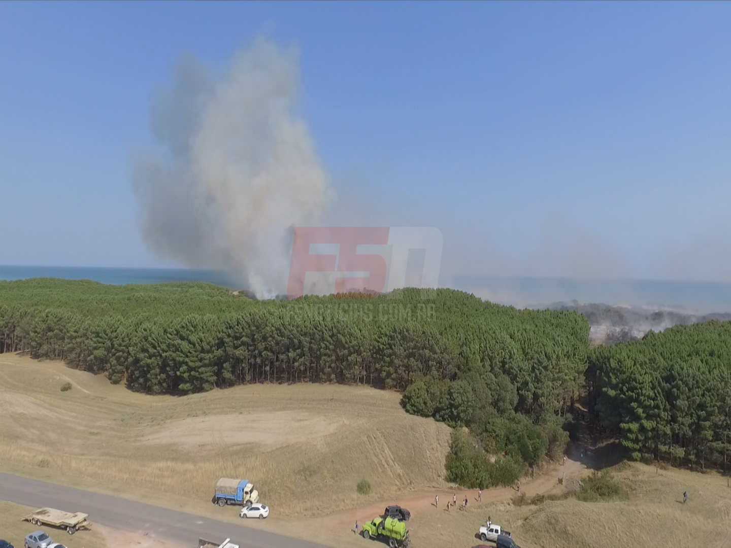 Importante incendio en el Vivero Dunícola  -VIDEO-